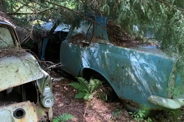 Bilskrot går miste om Crown-Victoria