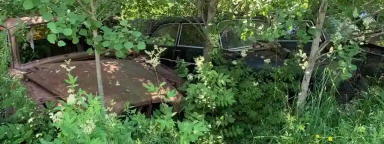 Bilskrot tävlar om uttjänade Ford-Kuga
