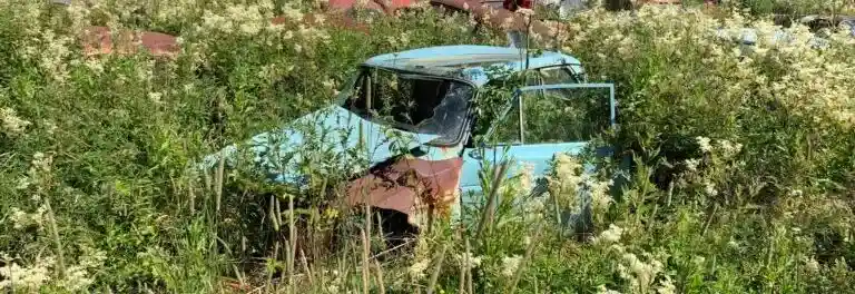 Bilskrot tävlar om uttjänade Seat-Leon