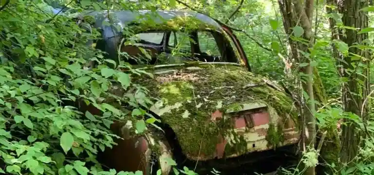 Bilskrot tävlar om uttjänade Skoda-125