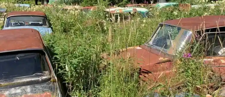Bilskrot tävlar om uttjänade Skoda-Laurin