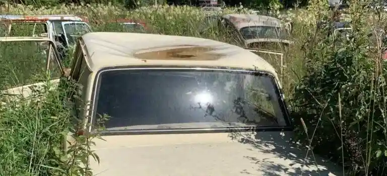 Bilskrot går miste om Skoda-Sedan
