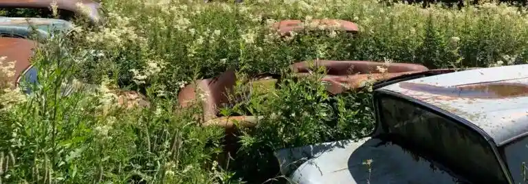 Alla fordon når inte bilskrotning i Antnäs