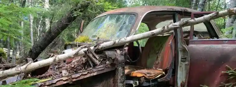 Ford-Fairlane fungerar som skrotbil