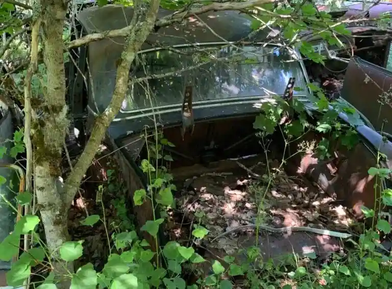Skrotade Ford-9600 bilar rustas upp