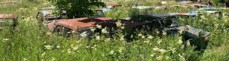 Skrotade Ford-Anglia bilar åter i trafik