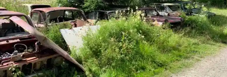 Skrotade Ford-Zephyr bilar åter i trafik