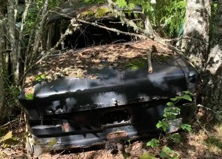 AB Svensk Bilprovning ökade antalet skrotbilar i Borgholm