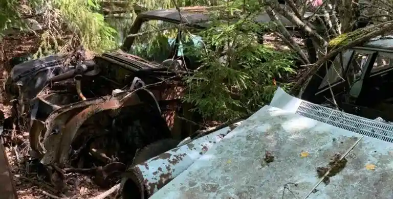 Bilskrot tävlar om uttjänade BMW4-F32