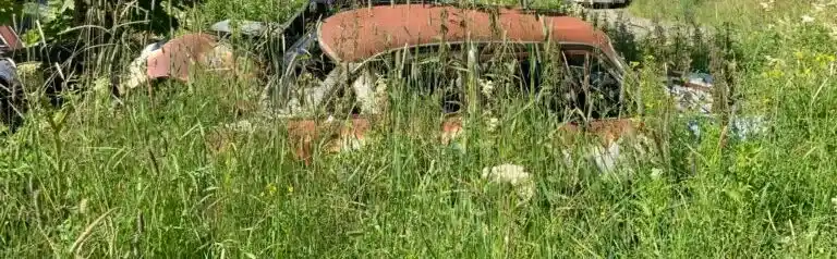 BMW-Z4 är skrotbil efter 10 år