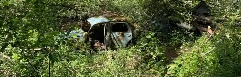 Kia-Opirius lämnas inte till återvinning
