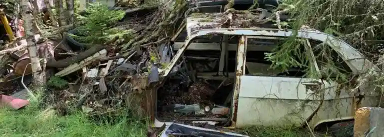 Nissan-Cherry lämnas inte till återvinning