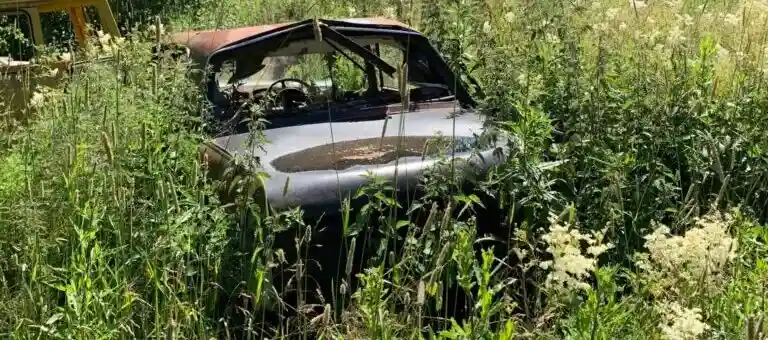 Bilskrot går miste om Nissan-Laurel