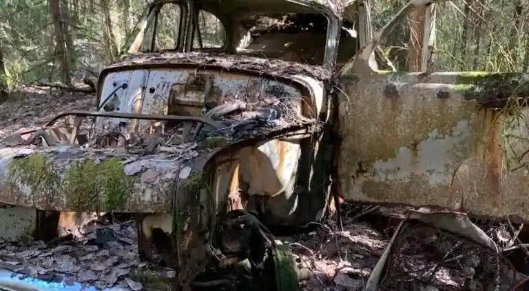 Besikta eller skrota bilen på Gotland