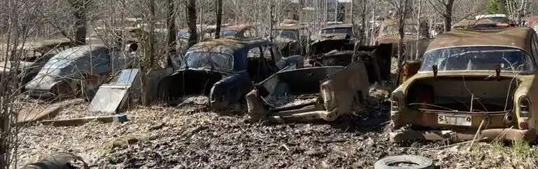 Skrotade Alfa Romeo-2300 bilar åter i trafik