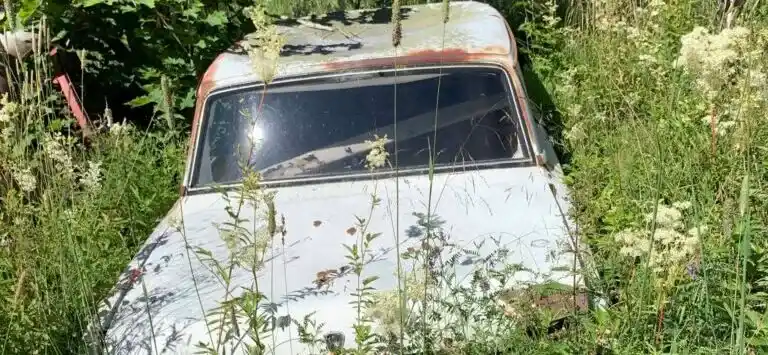 Skrotade BMW5-E12 bilar åter i trafik