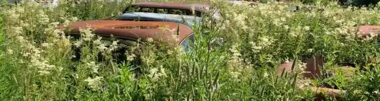 Skrotbil BMW7-E2 går igen