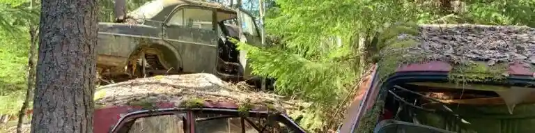 Undvik bilskrot efter besiktning i Sjömarken