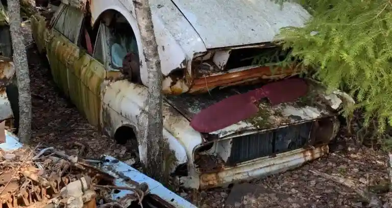 Besikta eller skrota bilen i Nykvarn
