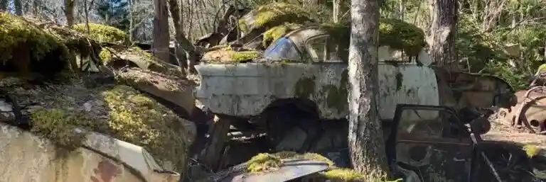 Besikta eller skrota bilen i Skara