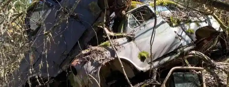 Bilkyrkogårdar drar besökare från Kristianstad