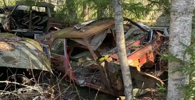 Skrotbilar i Järna säljes till miljöanpassad bilskrot
