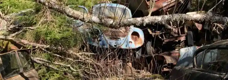 Välj sälja före dumpa skrotbilen i Munka-Ljungby