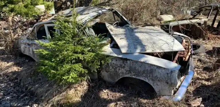 Vad innebär det att ett fordon är avregistrerat?