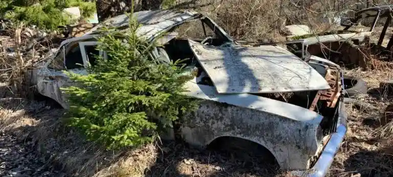Skrota bil utan däck eller hjul